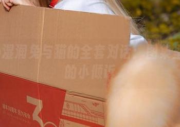 Yiko湿润兔与猫的全套对话：图集里隐秘的小倾诉