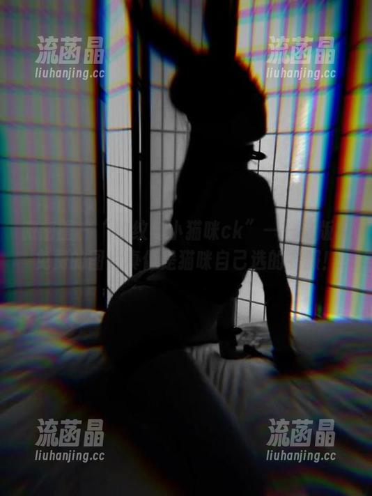微密圈 - “豹纹与小猫咪ck”——这版权免费的图片真像是猫咪自己选的衣服！