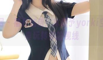 秀人网 – 福利加倍！林昔予yorki空姐写真玩转你的视线