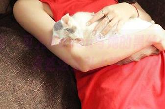 青豆客 – 可儿Kayen与她的黑丝：原图竟然这么引人遐想